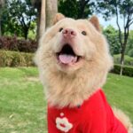 81d21c50d4d6b7ebc8e3bde324cb973c