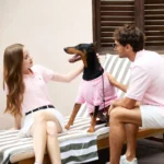 RL Pink Pet Polo