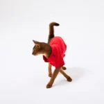 RL Red Pet Polo