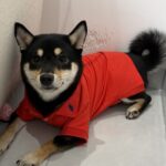 b875bbac85a40c1f15d390bb194546db