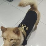 d10918bd68ada1cc8a314f6a216b6f6f