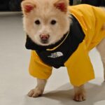 2025-10-29_113449_958