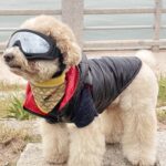 2b5181caa76c53b04a90c9de224ed024