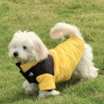 3f823559efd64bce697635dc2006d564