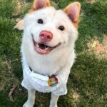 56a26dc60ab498fd1a63812ec59cb498