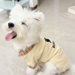 5f762170a495bc67abba7d453b72e85d