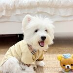 7e8335800d1a69727f46e66ac054894a