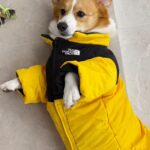 937100c36e13705926722623e7ce9611