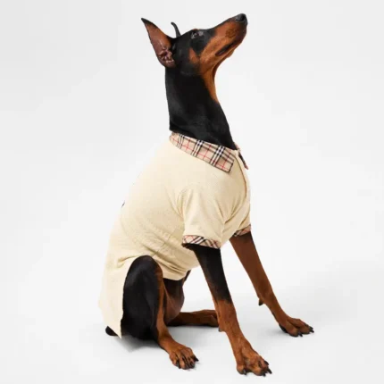 Burberry Pet polo shirt