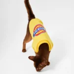 Dickies Sweatshirt Yellow