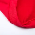 Dickies Sweatshirt red