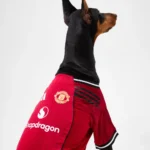 Manchester United Pet Jersey