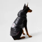 Reversible Moncler down jacket