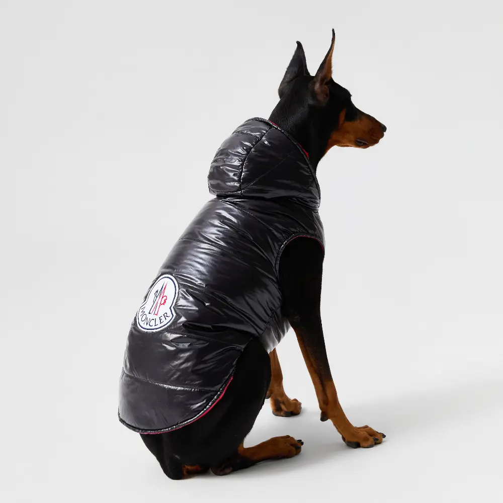 Reversible Moncler down jacket