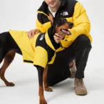 The North Face down jacket Yellow