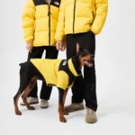 The North Face down jacket Yellow