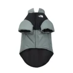 The North Face down jacket