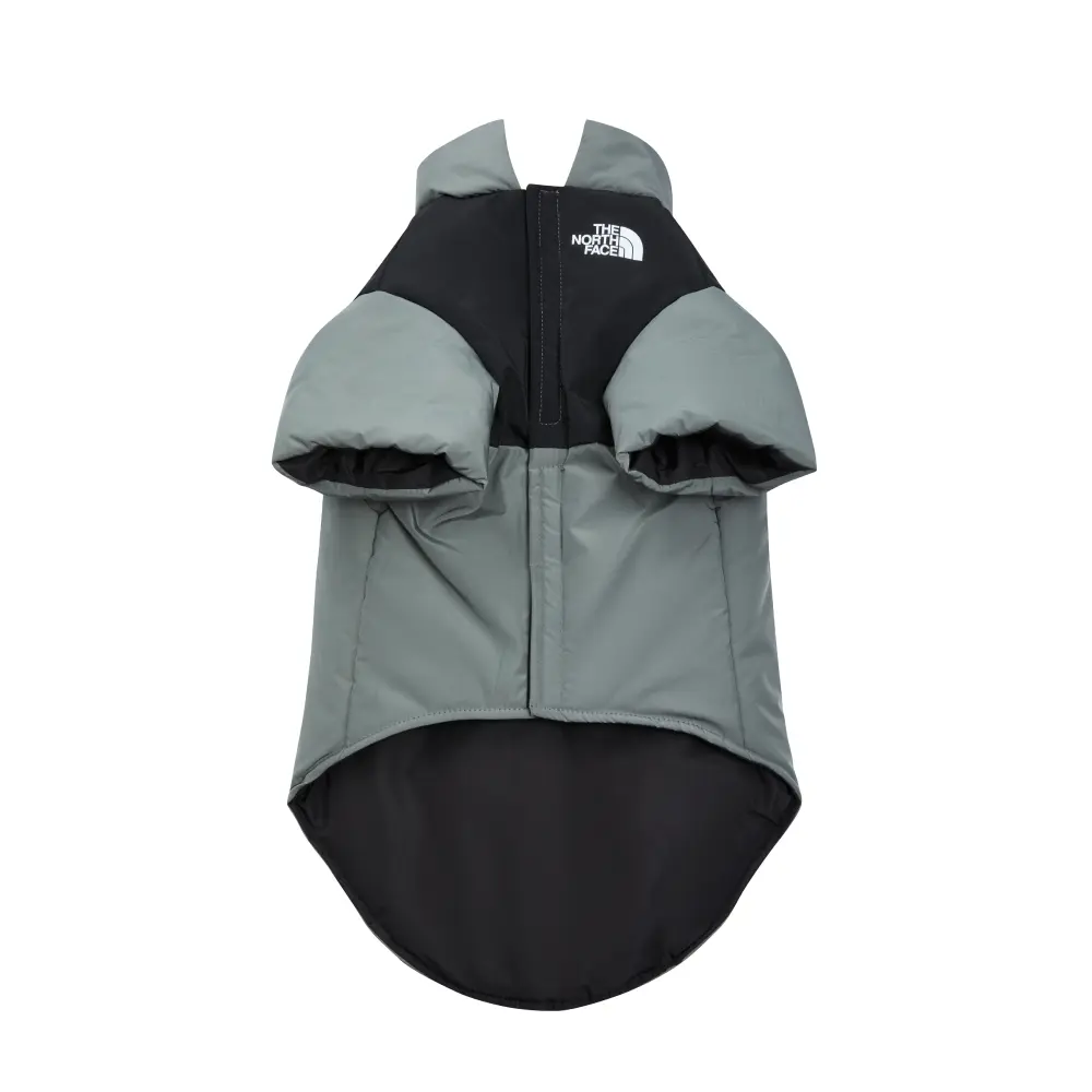 The North Face down jacket