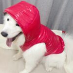 aa236fff3d6a340edd4568925c0235e9