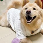 af863152a743de2b0828cadb0c07b6c1