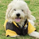 ceef61cbe187e3083a4db7a34b2d1b1b