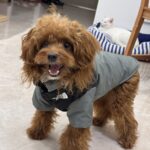 cf6ec70262f6f175cd81330deac6a702