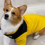 e3dc2e1f563e3b976c5d96b112188c80