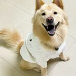 ed7b94d2112059d3a54aa5f52cab7c25