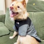 fe1d4573ca50066df53521ff7467f176