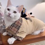 Customer review chart