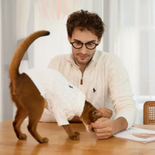 Pick Your Favorite Pet Style!2