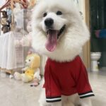 b7151defb7c3b5bd1e0da37331054271