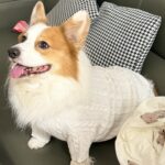 00aabf2368e118871693b7595b63de3f