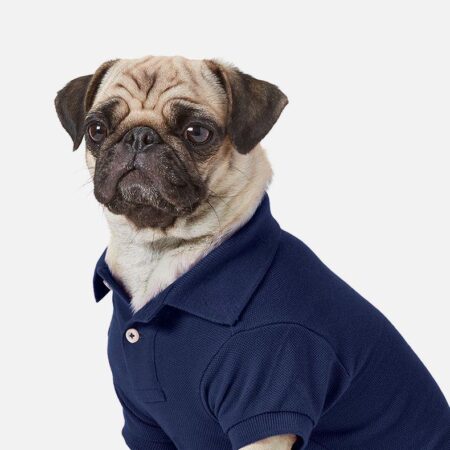 Solid color dog polo shirt