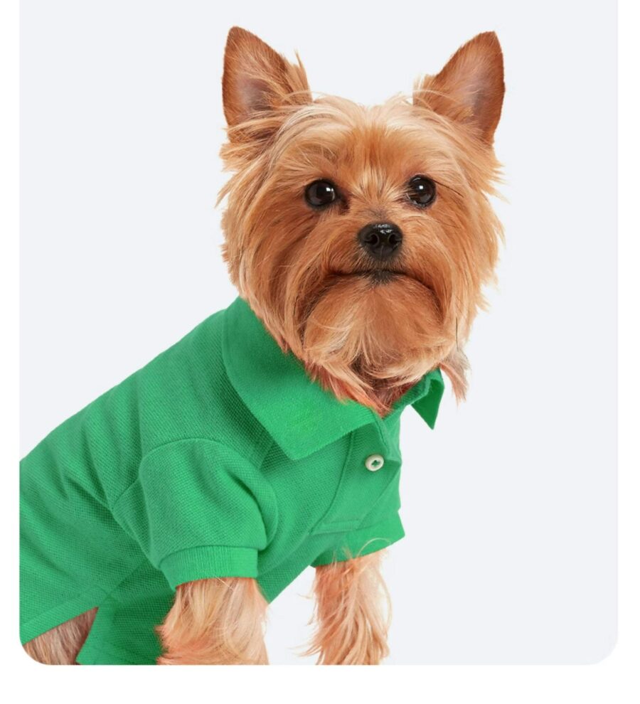 Solid color dog polo shirt - Image 7